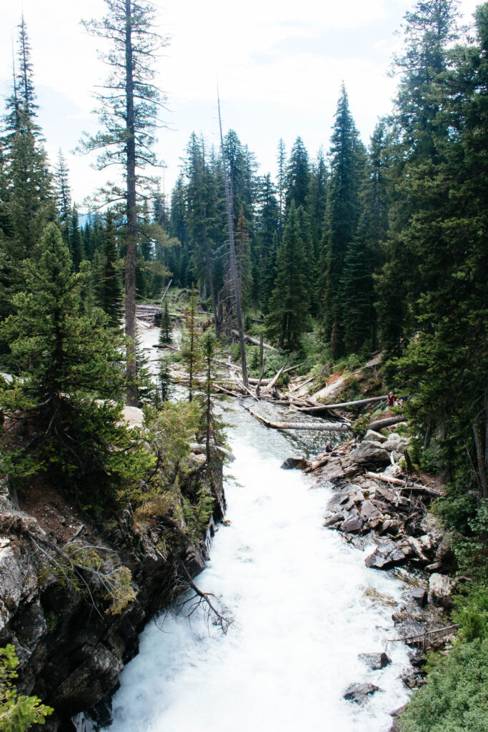 river in grand teton national park