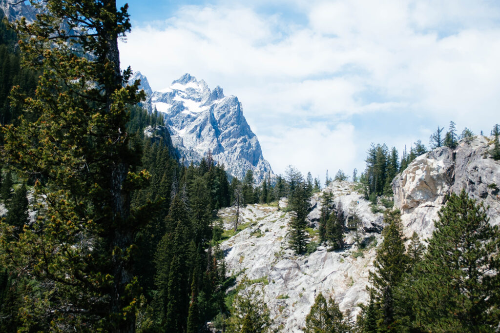 grand teton national park