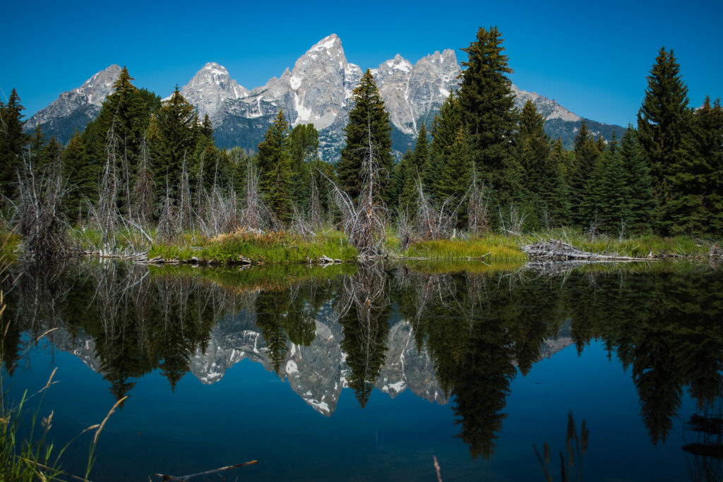 grand teton reflecting at schwabacher landing